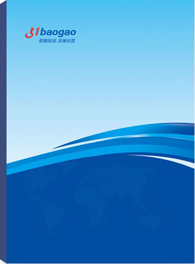 2024-2029年中国电力工程行业全景调研与发展战略研究咨询报告